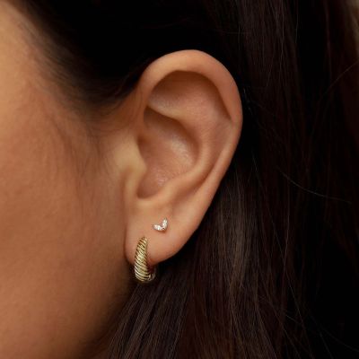 Celyn Earparty