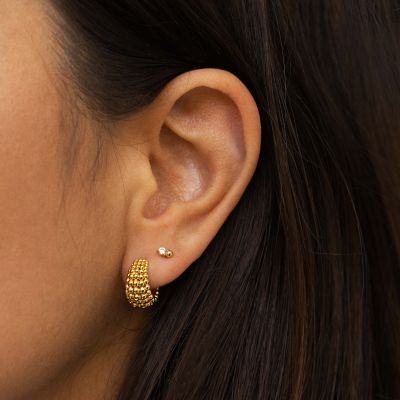 Ginger Earparty
