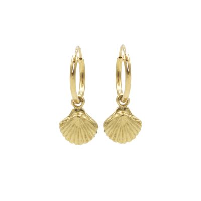 Hoops Symbols Shell