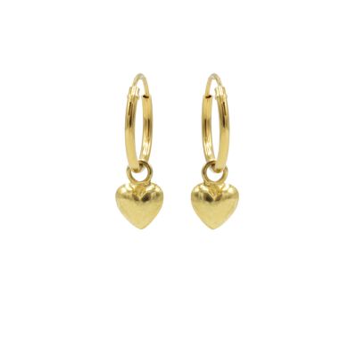 Hoops Symbols 3D Heart