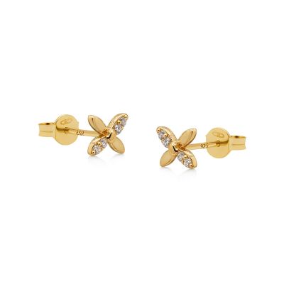 Zirconia Symbols Pien