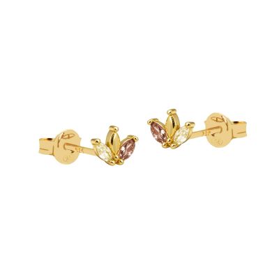 Zirconia Symbols Yse Citrien